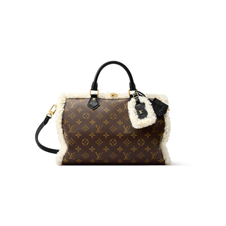 LV Speedy Soft 30 Teddy